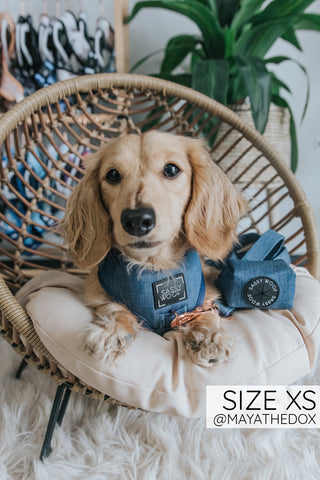 Sassy Woof Adjustable Harness - Denim - Henlo Pets