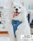 Sassy Woof Adjustable Harness - Denim - Henlo Pets