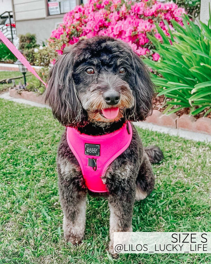 Sassy Woof Adjustable Harness - Neon Pink - Henlo Pets