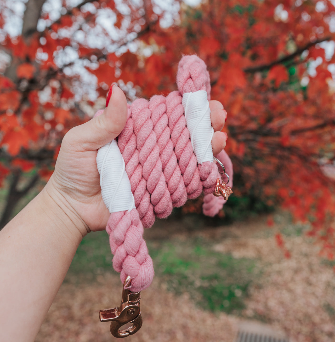 Sassy Woof Rope Leash - Cotton Candy - Henlo Pets