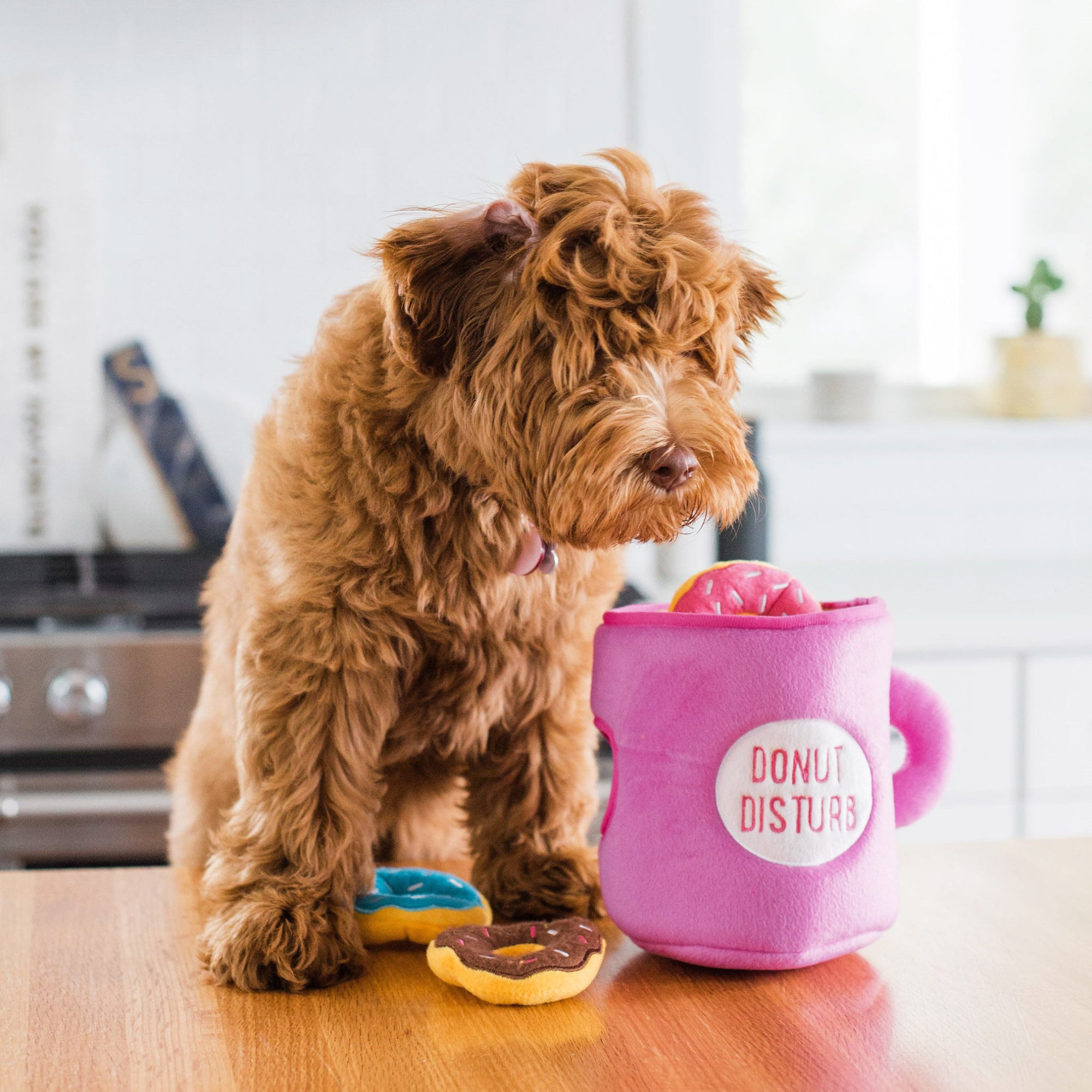 Zippy Burrow - Coffee and Dountz - Henlo Pets