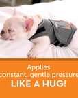 ThunderShirt - Dog Anxiety Vest - Henlo Pets