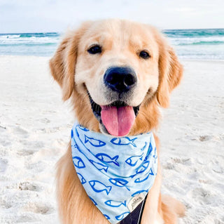 The Paws - Go Fish Bandana - Henlo Pets