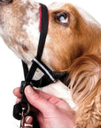 Company of Animals - Halti Optifit Headcollar - Henlo Pets