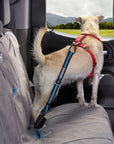Kurgo - Direct to Seatbelt Tether Blue - Henlo Pets