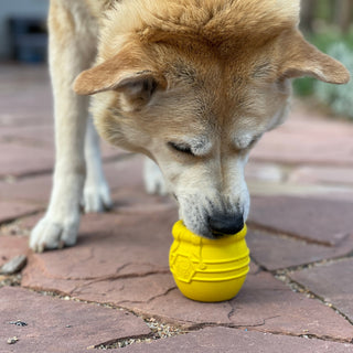 SodaPup - Honey Pot Durable Treat Dispenser & Toy - Henlo Pets