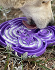 SodaPup - Water Frog eTray Purple - Henlo Pets