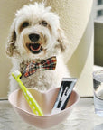 Petosan -  Silent Power Toothbrush - Henlo Pets