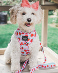 Sassy Woof Adjustable Harness - I Woof You Berry Much [CLEARANCE] - Henlo Pets