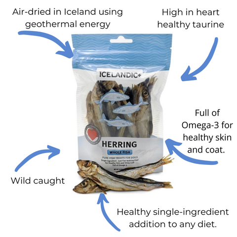 Icelandic+ Herring Whole Fish Dog Treat - Henlo Pets