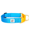 Dog + Bone - Martingale Collar Blue & Yellow - Henlo Pets