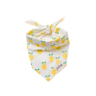 The Paws - Lemoni Bandana - Henlo Pets