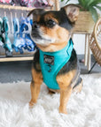 Sassy Woof Adjustable Harness - Napa [CLEARANCE] - Henlo Pets