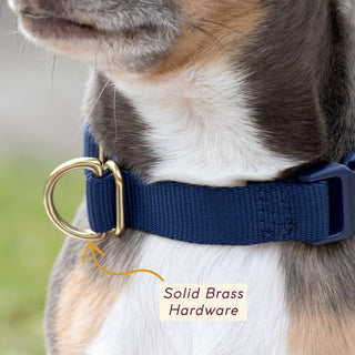 Pack Collar - Slate - Henlo Pets