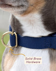 Pack Collar - Slate - Henlo Pets