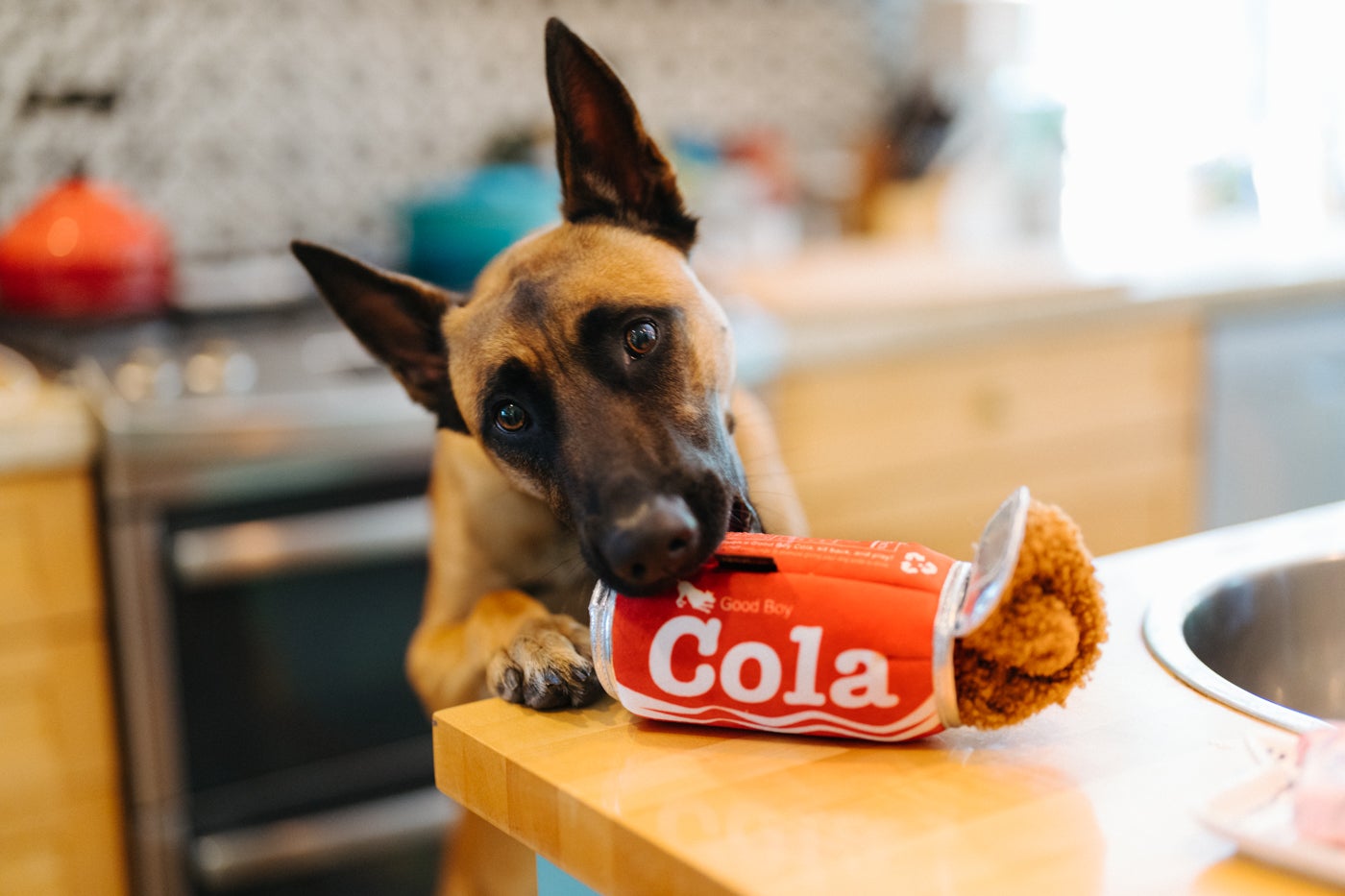 P.L.A.Y. - Snack Attack Good Boy Cola - Henlo Pets
