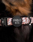 Pablo & Co Brown Check Check Collar - Henlo Pets