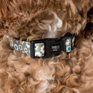 Pablo & Co - Smiley Flowers Collar - Henlo Pets