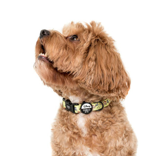 Pablo & Co Bambi & Butterflies Collar - Henlo Pets
