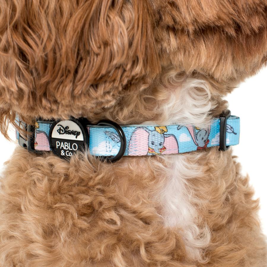 Pablo &amp; Co - Dumbo in the Clouds Collar - Henlo Pets