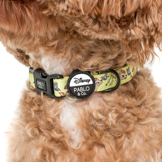 Pablo & Co Bambi & Butterflies Collar - Henlo Pets