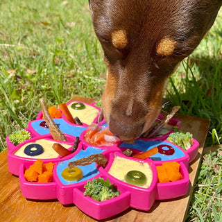 SodaPup - Mandala eTray Yellow - Henlo Pets
