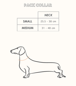 Pack Collar - Spice - Henlo Pets