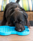 SloDog No Gulp Slow Food Plate - Bone Shape Blue - Henlo Pets