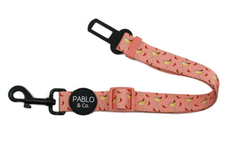 Pablo & Co - Spicy Margarita Car Restraint - Henlo Pets