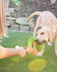 P.L.A.Y. - Tropical Paradise Puppy Palm - Henlo Pets