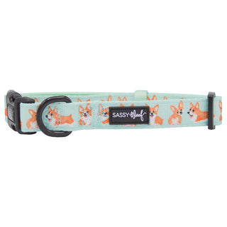 Sassy Woof Collar - CoCo Corgi [CLEARANCE] - Henlo Pets