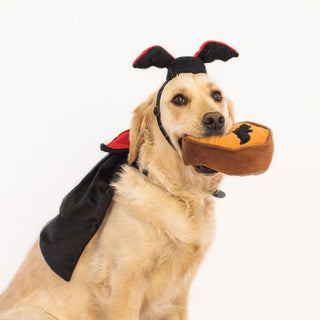 Halloween Costume Kit - Dracula - Henlo Pets