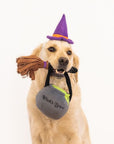 Halloween Costume Kit - Witch - Henlo Pets