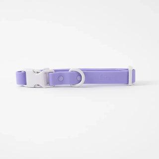 ABF Lilac Grey Collar - Henlo Pets