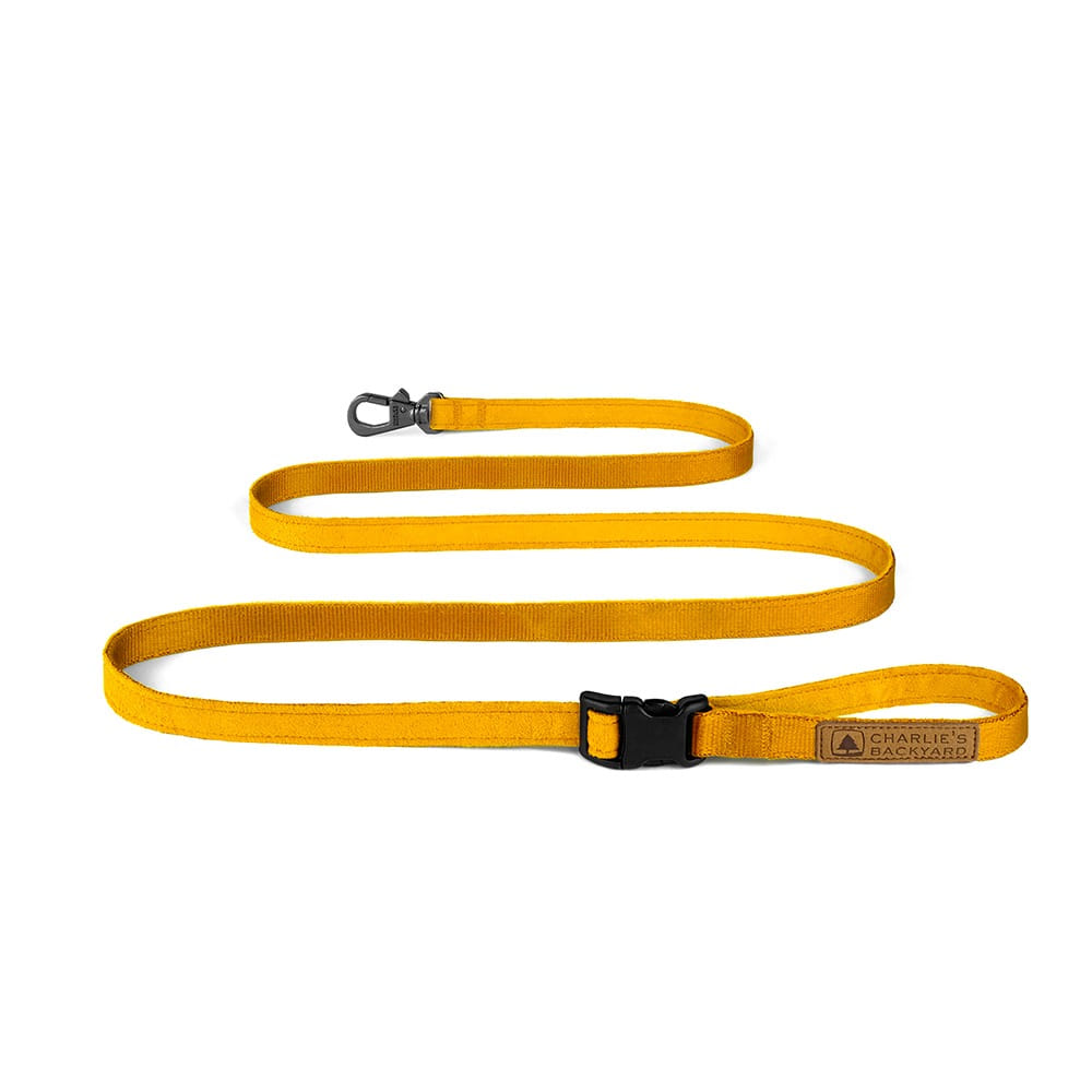 Charlie's Backyard - Easy Leash Yellow - Henlo Pets