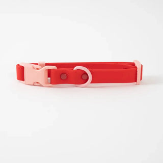 ABF Cherry Collar - Henlo Pets