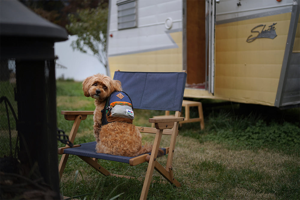 Charlie&#39;s Backyard - Outdoor Backpack Navy - Henlo Pets