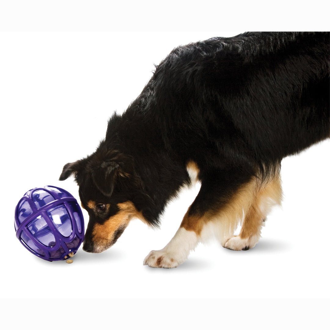 Busy Buddy - Kibble Nibble Feeder Ball Dispensing Toy - Henlo Pets
