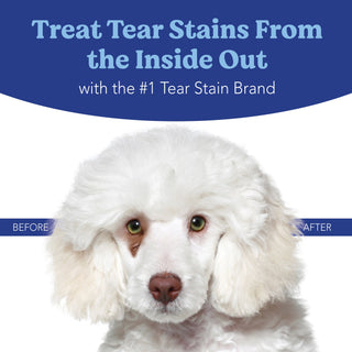 Angels' Eyes - Natural Formula Tear Stain Powder - Henlo Pets