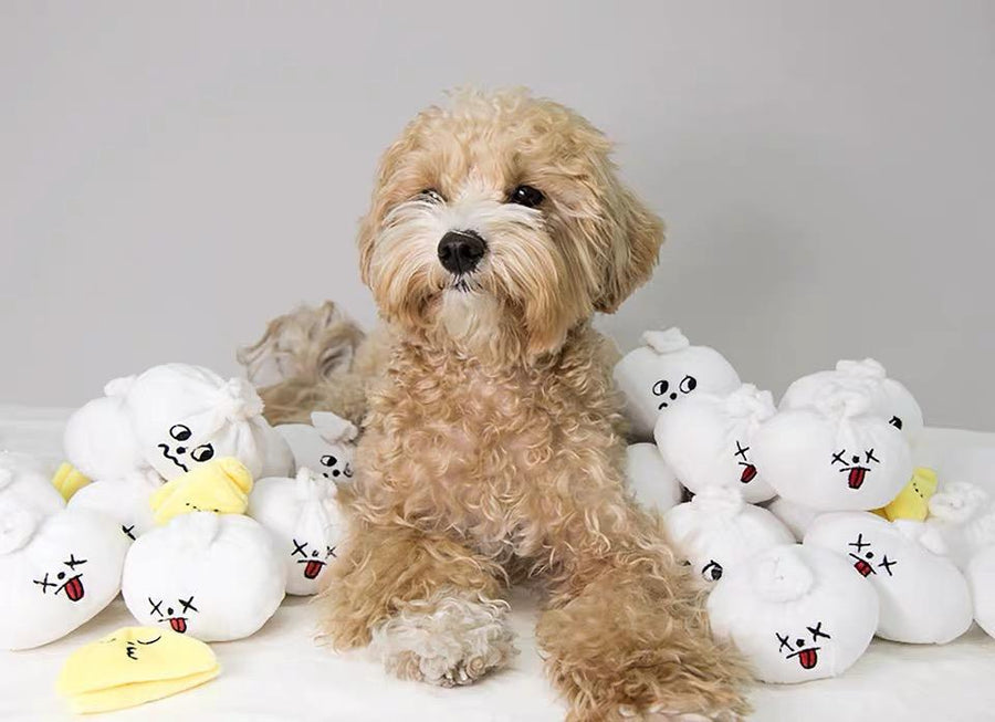Bite Me - Plush Dumpling Dog Toy - Henlo Pets