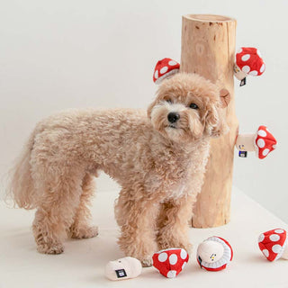 Bite Me Mushroom Nose Work Dog Toy | Henlo Pets
