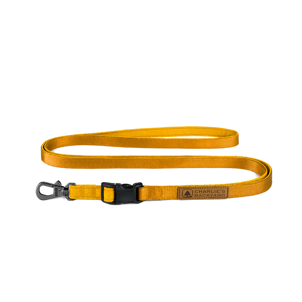 Charlie's Backyard - Easy Leash Yellow - Henlo Pets