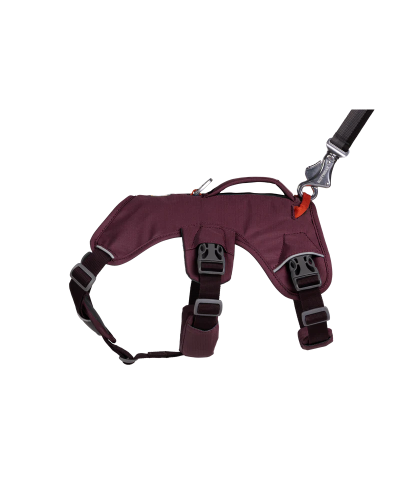 RUFFWEAR - Web Master Dog Harness Purple Rain - Henlo Pets