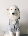 Dog Hoodie Light Grey - Henlo Pets