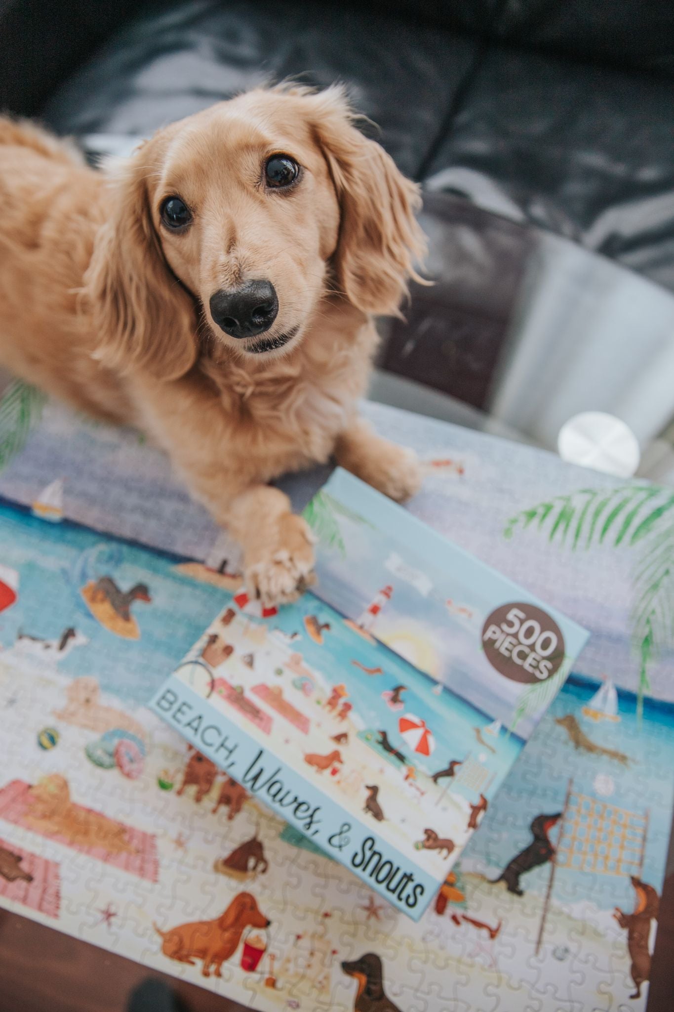 Beach, Waves, & Snouts Puzzle 500 Pieces - Henlo Pets