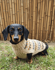 Alqo Wasi - Golden Dreams Alpaca Dog Sweater - Henlo Pets