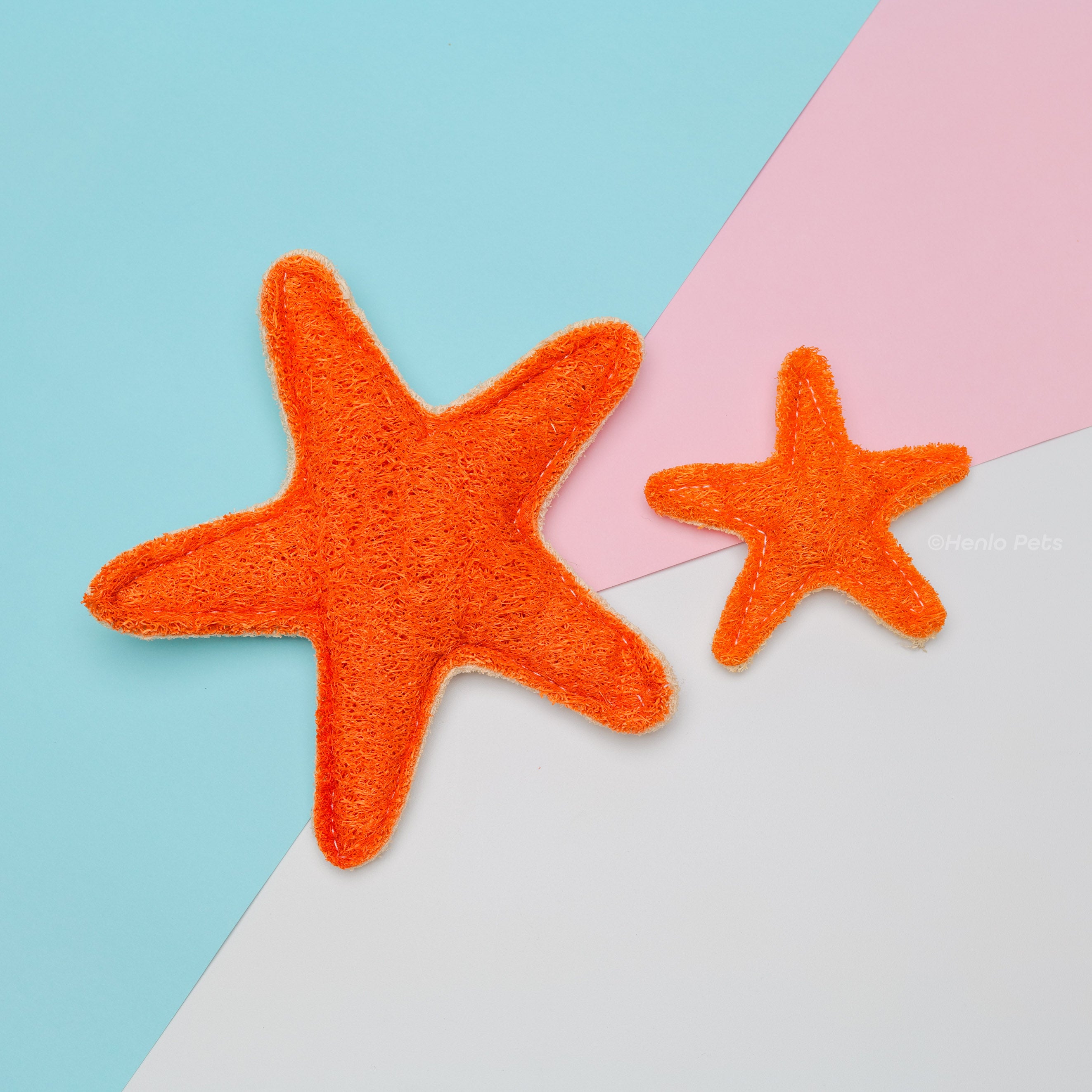 Starfish Loofah Dental Toy - Henlo Pets