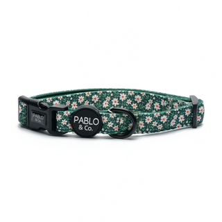 Pablo & Co - The Flower Garden Collar - Henlo Pets