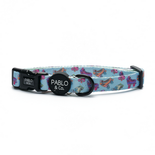 Pablo & Co - Roller Skates Collar - Henlo Pets