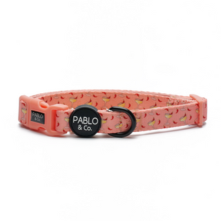 Pablo & Co - Spicy Margarita Collar - Henlo Pets